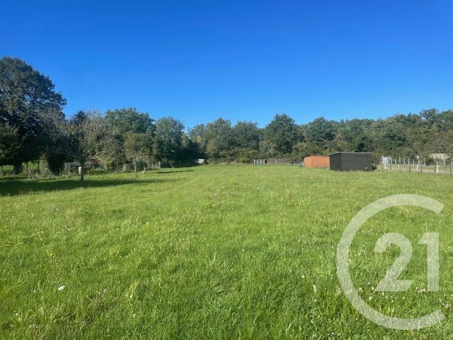 Afficher la photo en grand maison à vendre - 6 pièces - 148.1 m2 - ST GERMAIN DES PRES - 45 - CENTRE - Century 21 Start Immo